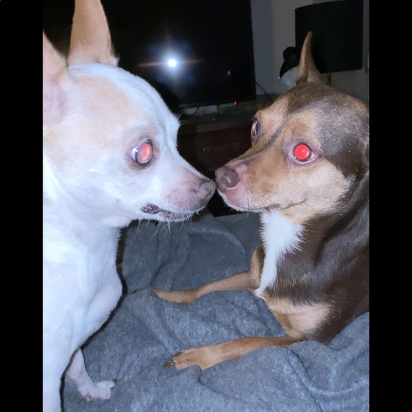 Meet your Posher, Jennie - Picture 1 of 1